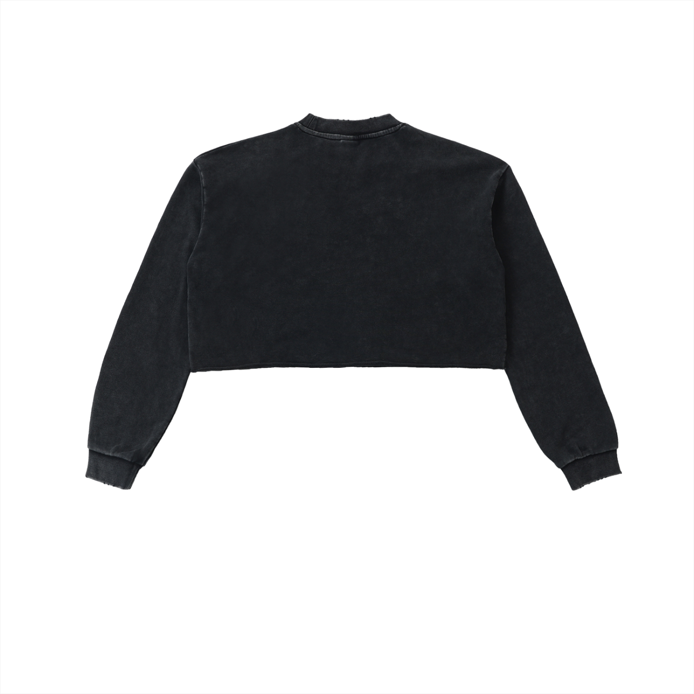 Hand-Embellished Holding the Proof Snow Washed Raw Edge Cropped Sweatshirt