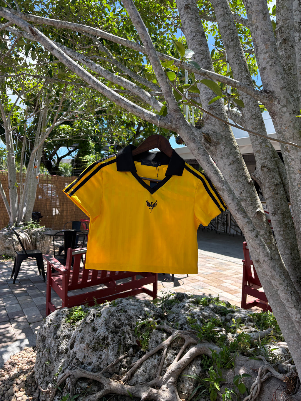 Gold Contrast Collar Striped Cropped Jersey