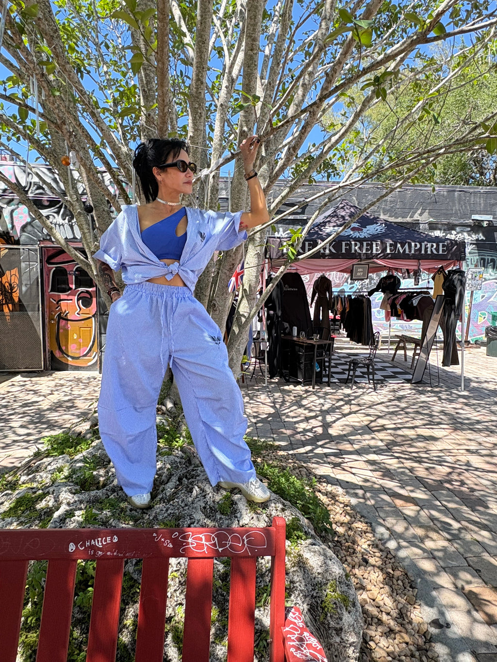 Blue Phoenix Rose Break Free Empire Oversized Vertical Stripe Boxy Shirt