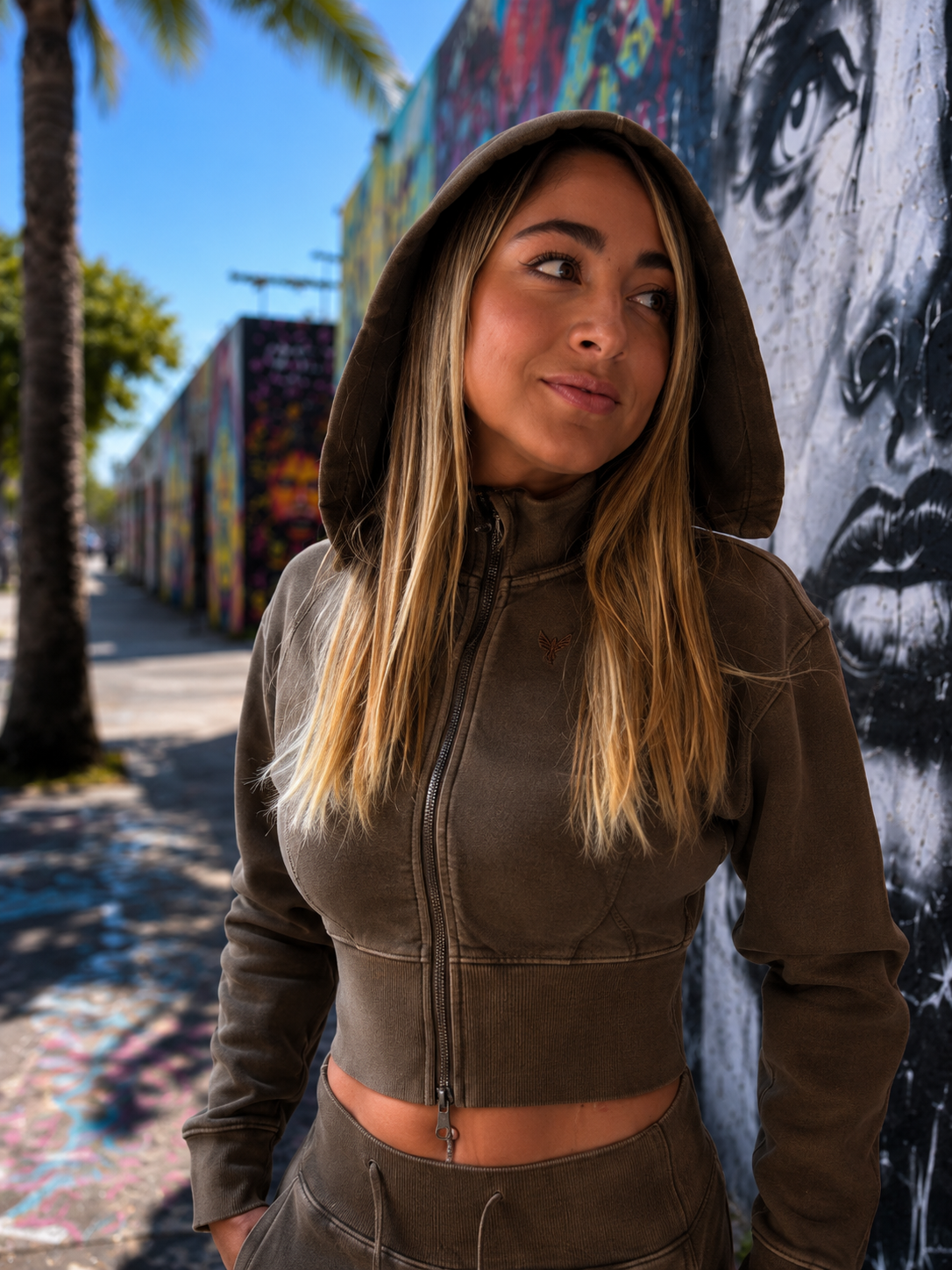 Brown Vintage Washed Cropped Fleece Hoodie
